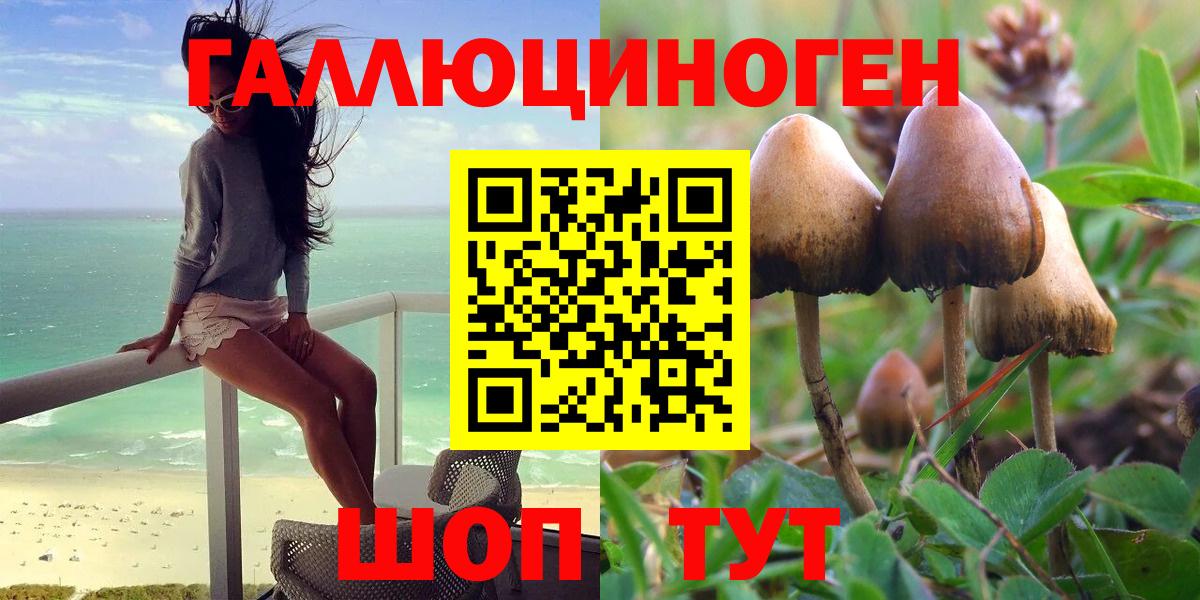 Галлюциногенные грибы прущие грибы Губаха
